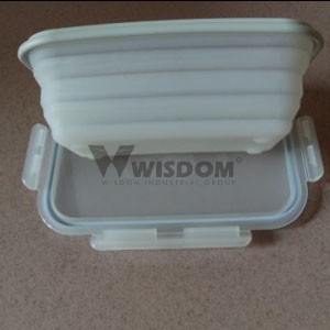 Silicone Lunch Box W2502